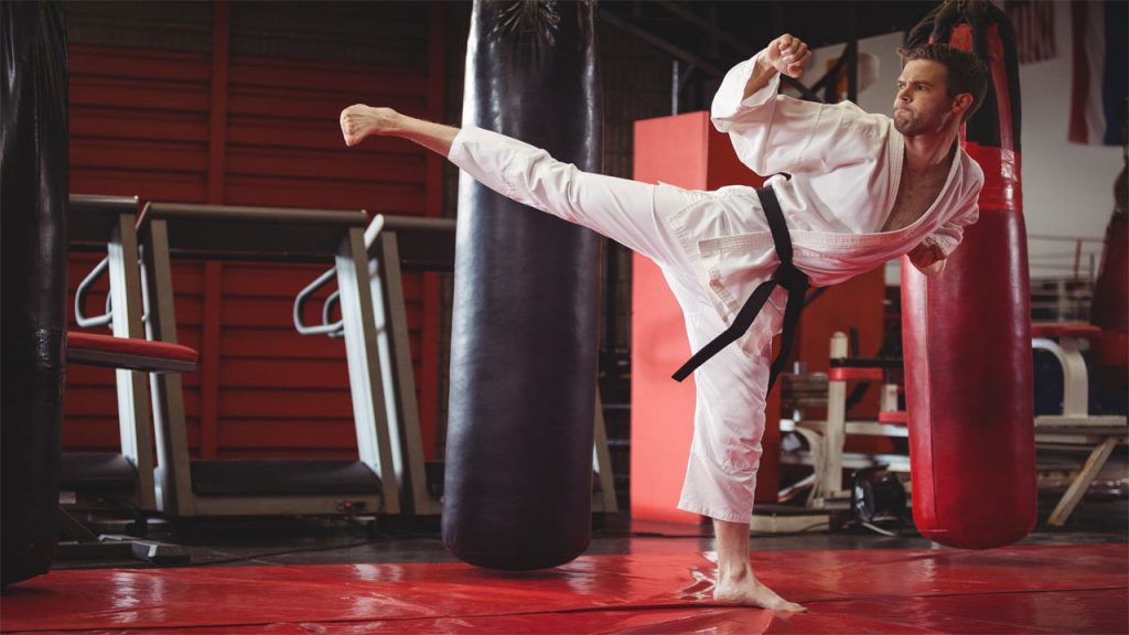 Best Karate Schools in The World