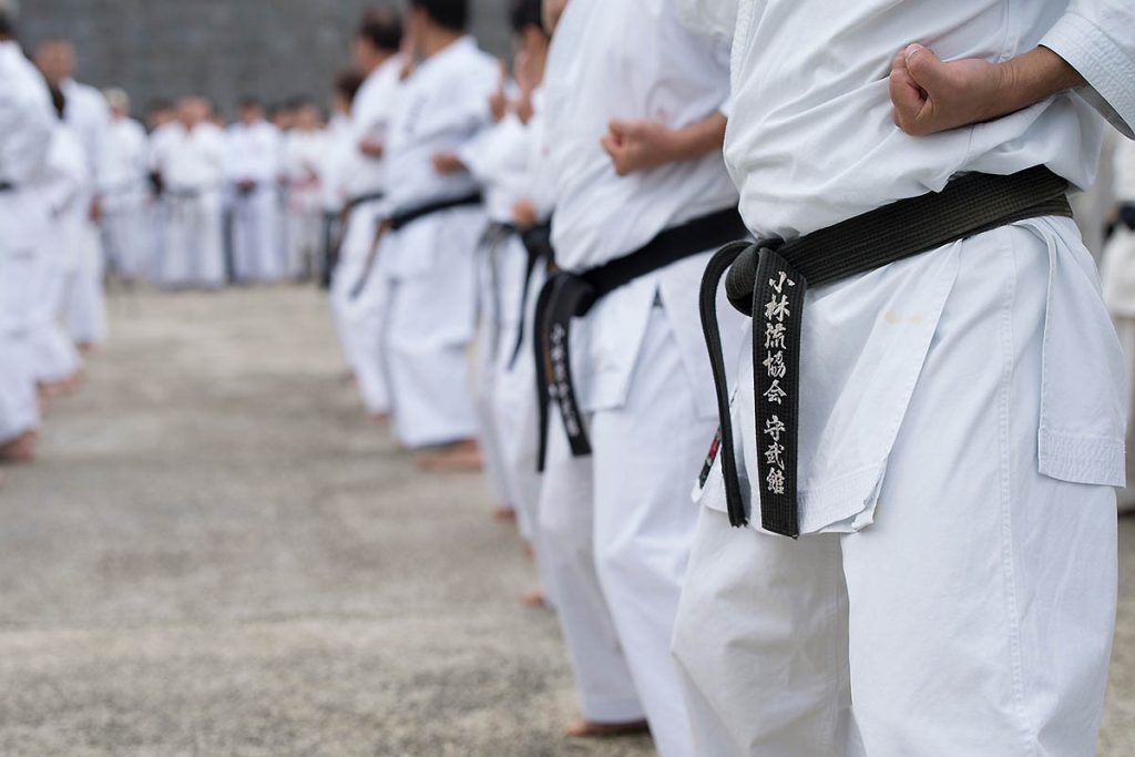 Okinawan Karate Styles