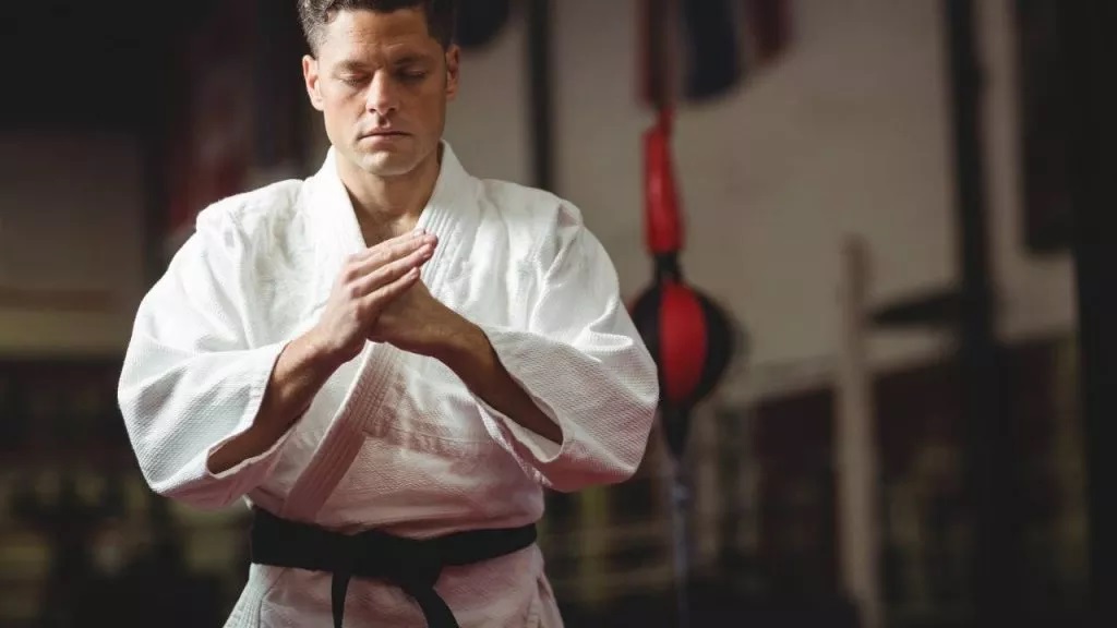 The Twenty Guiding Principles of Karate