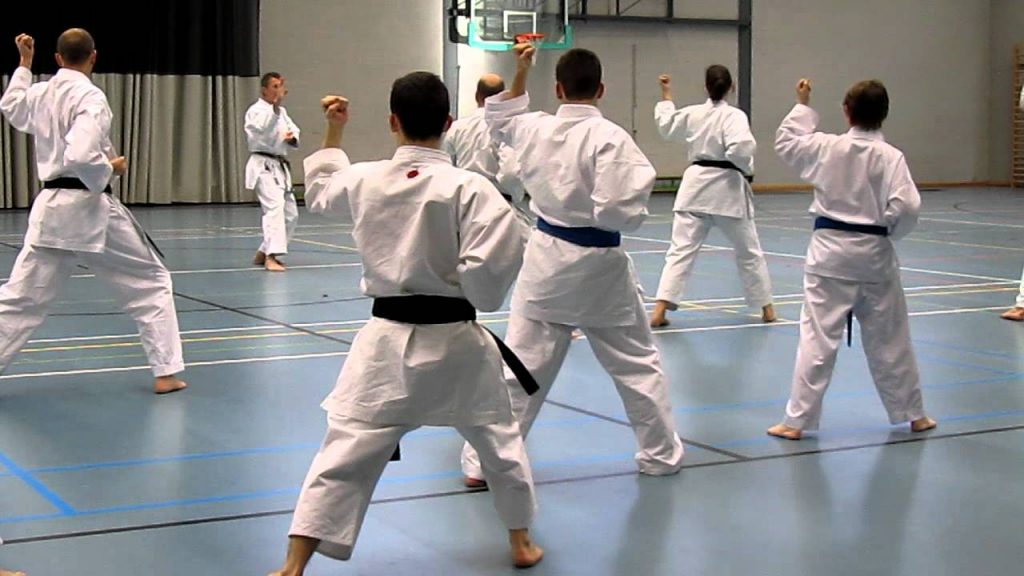 Wado Ryu Karate