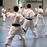 Wado Ryu Karate