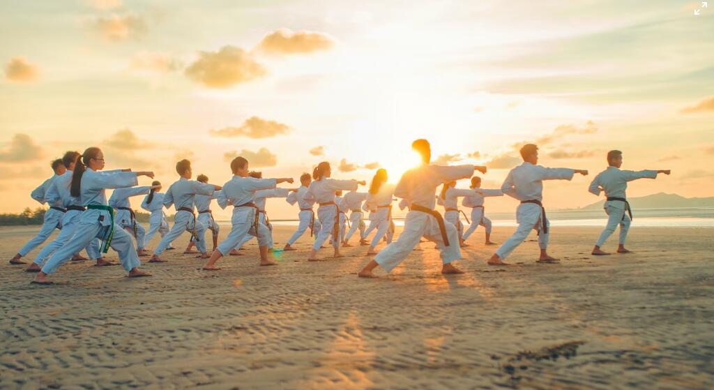 About Karate Blog