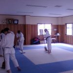 What is Dojo