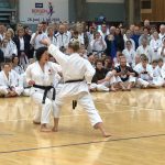 Everything You Need to Know about Shotokan Karate