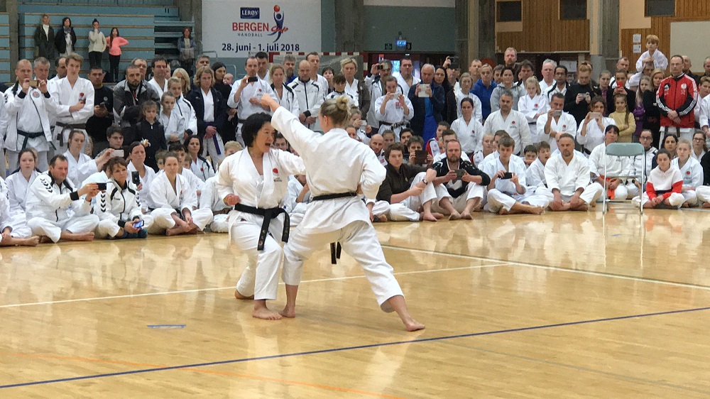 Everything You Need to Know about Shotokan Karate