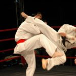 Kyokushin Karate