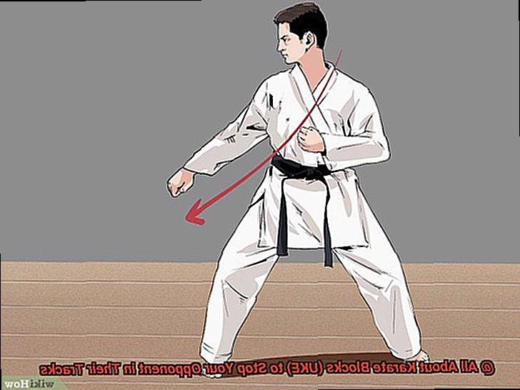 All About Karate Blocks (UKE) to Stop Your Opponent in Their Tracks-2