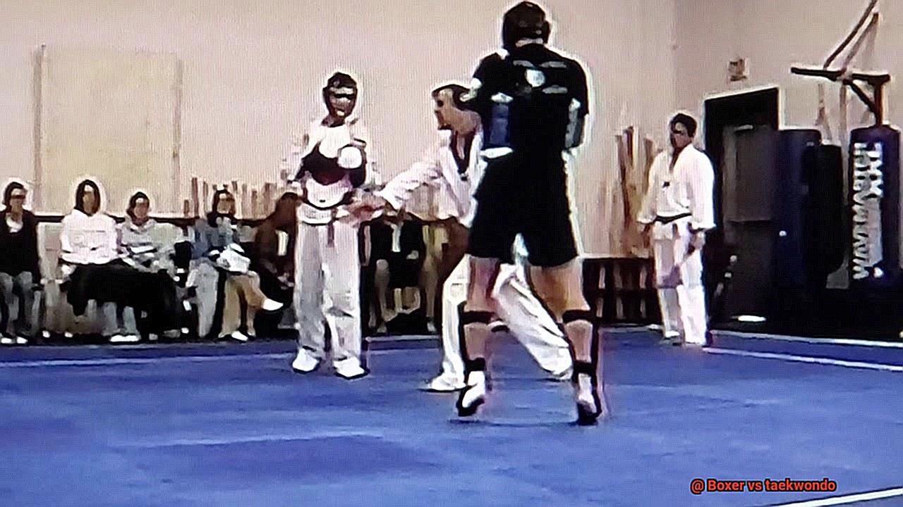 Boxer vs taekwondo-6