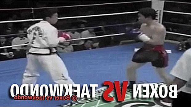 Boxer vs taekwondo-4