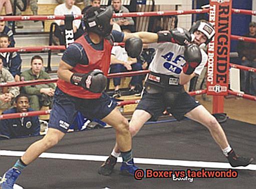 Boxer vs taekwondo-3