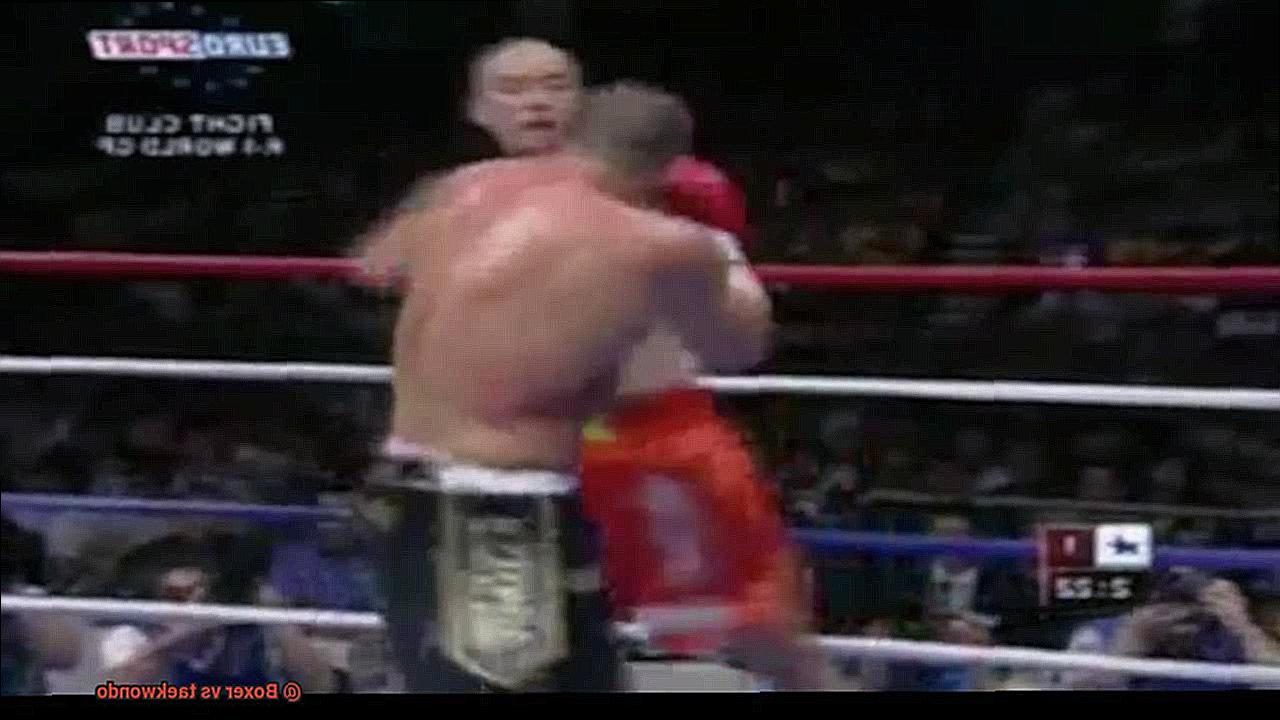 Boxer vs taekwondo-2