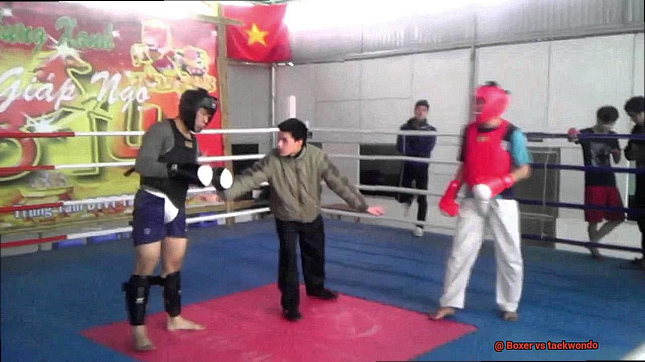 Boxer vs taekwondo-5