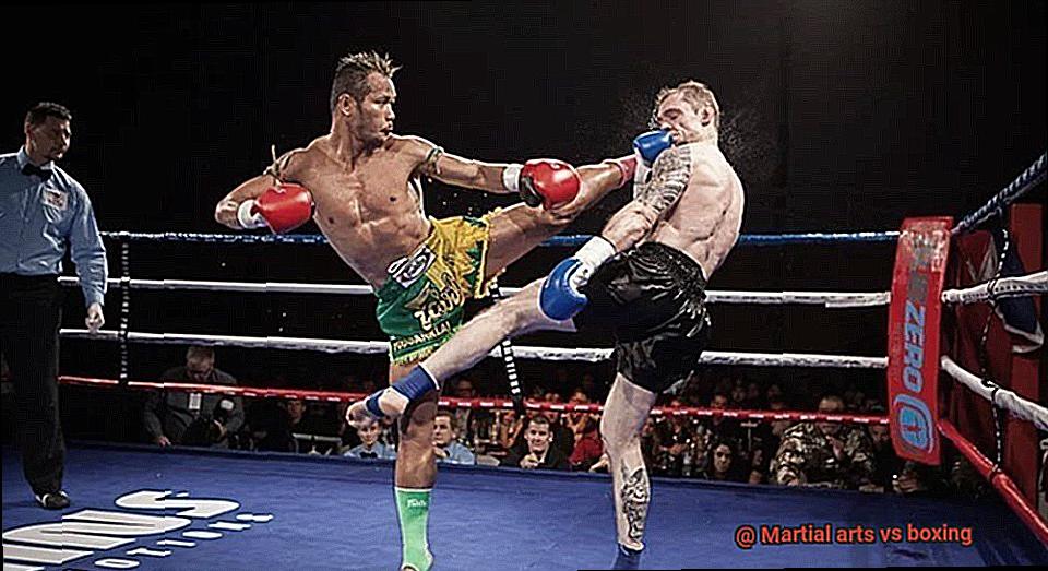 Martial arts vs boxing-5