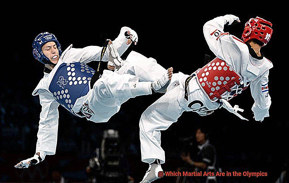 Which Martial Arts Are in the Olympics-3