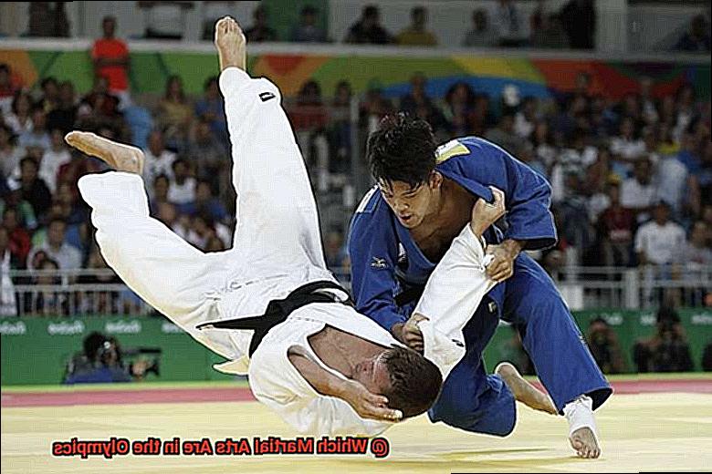 Which Martial Arts Are in the Olympics-2